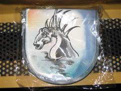 Dragon CD Case